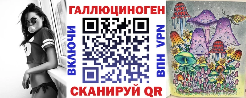 Псилоцибиновые грибы Cubensis  Сосновый Бор 